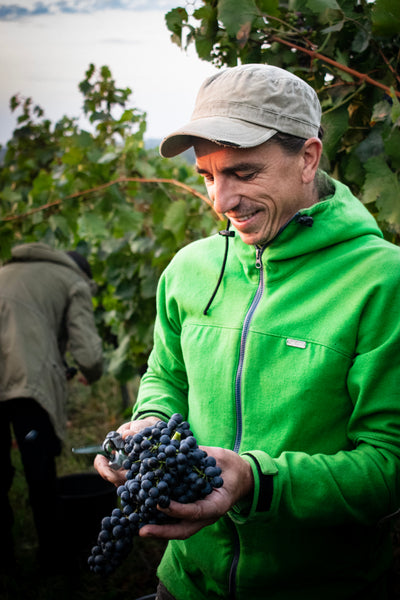 Weingut Ernst Triebaumer