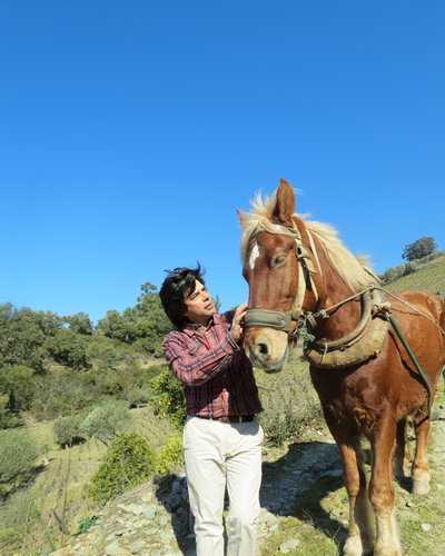 Álvaro Martinho Lopes