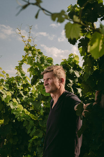 Domaine Paul Ginglinger
