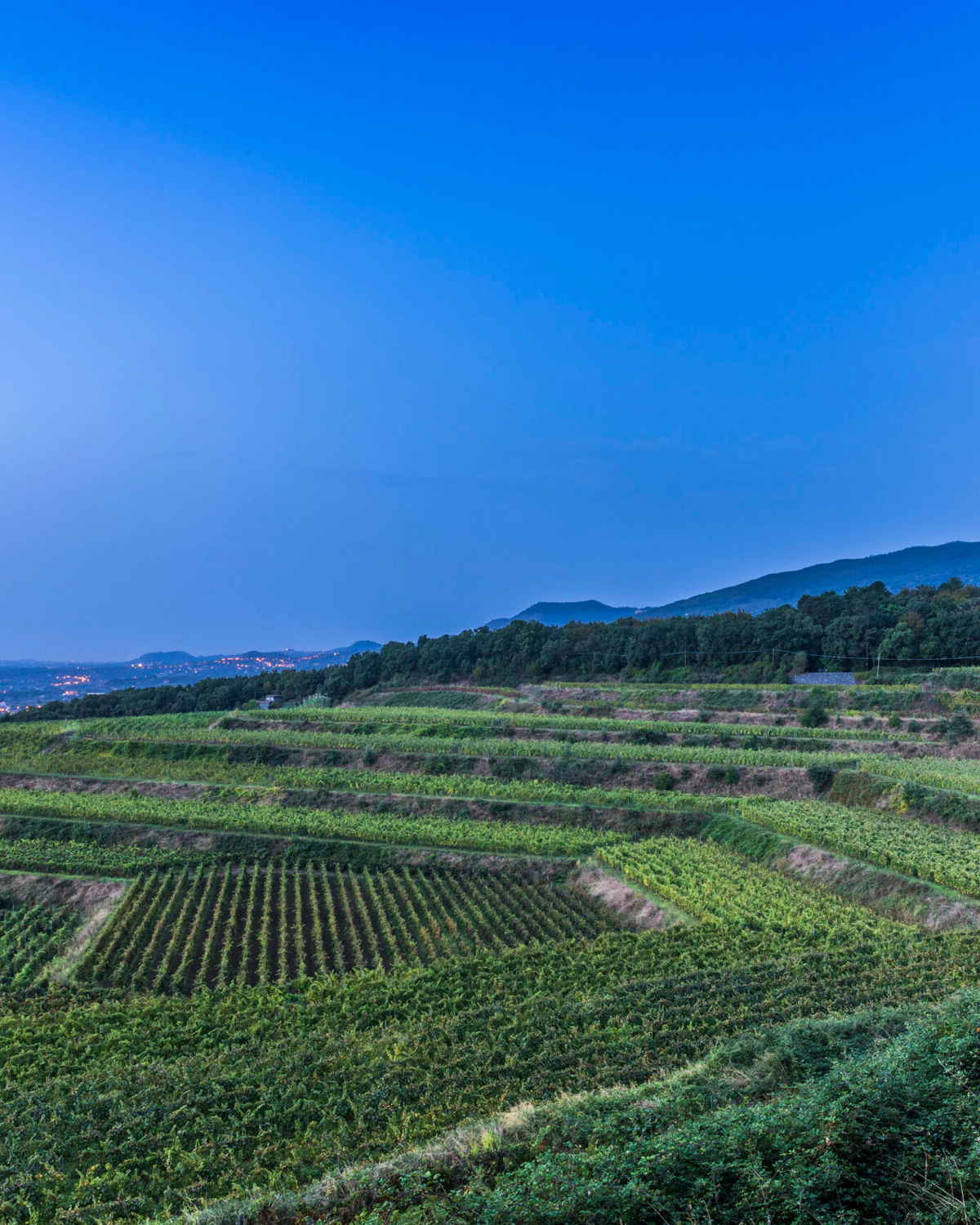 Barone di Villagrande