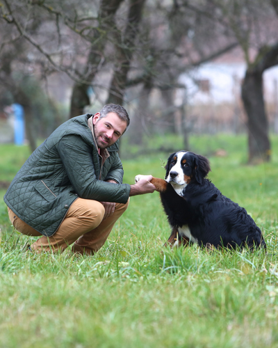 Weingut Georg Frischengruber