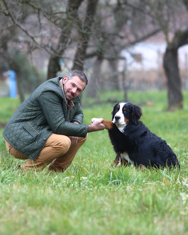 Weingut Georg Frischengruber
